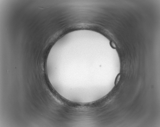 X0000065970633200603311839