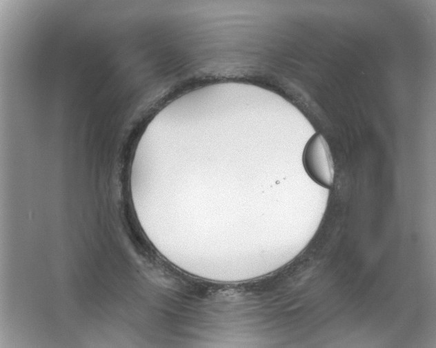 X0000065970635200603311839