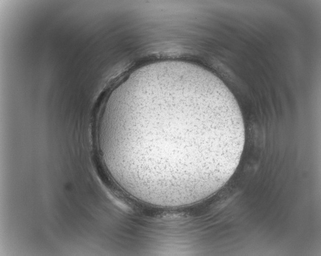 X0000065970638200603311840