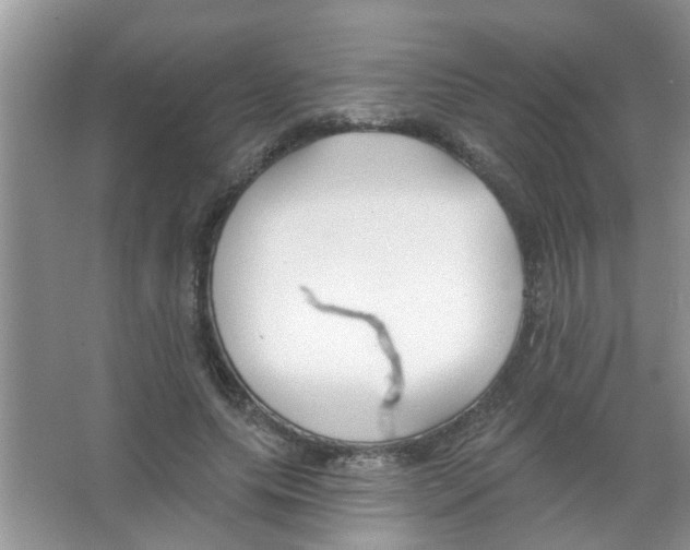 X0000065970639200603311840