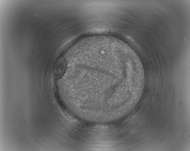 X0000065970640200603311840