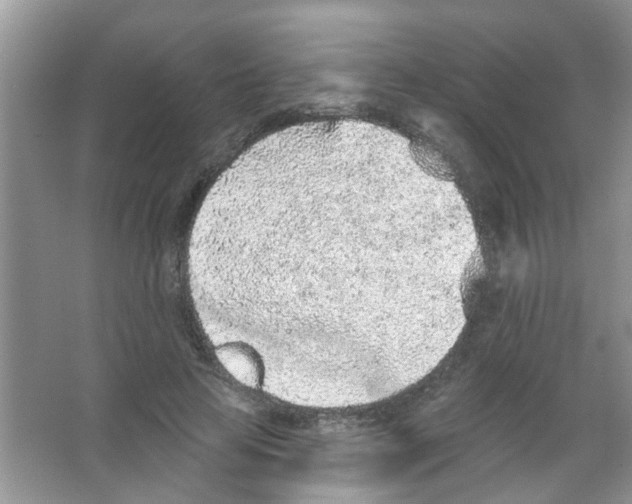 X0000065970641200603311840