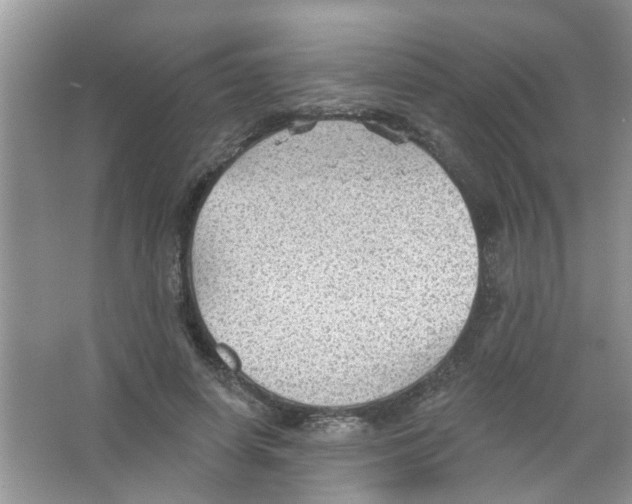 X0000065970642200603311840