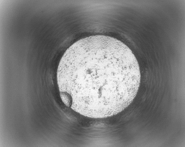 X0000065970643200603311840