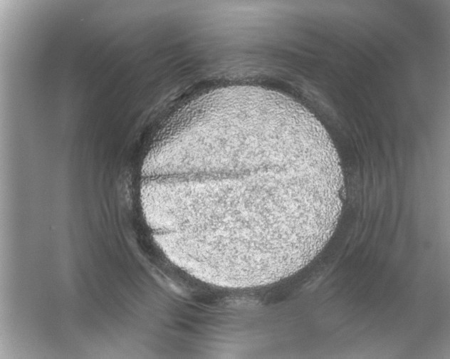 X0000065970644200603311840