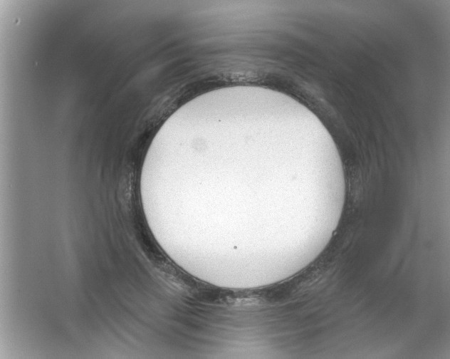 X0000065970645200603311840