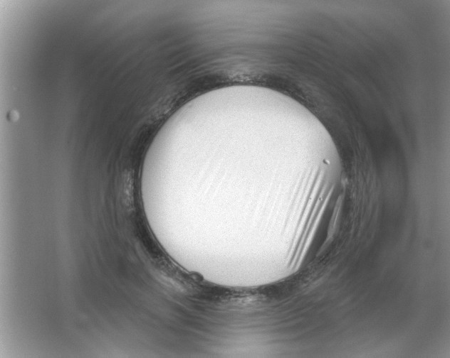 X0000065970646200603311840