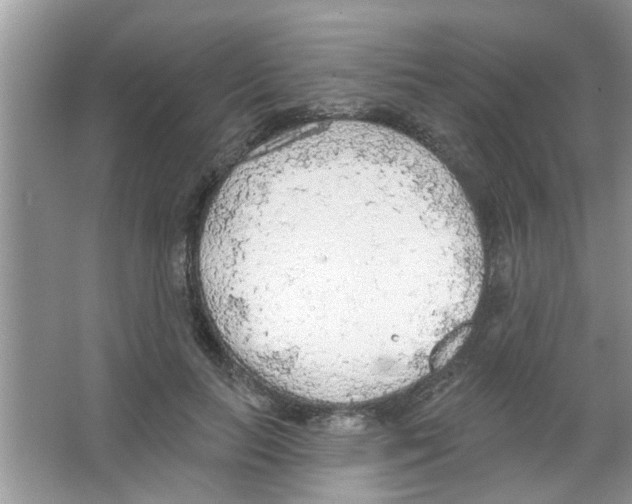 X0000065970647200603311840