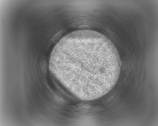 X0000065970648200603311840