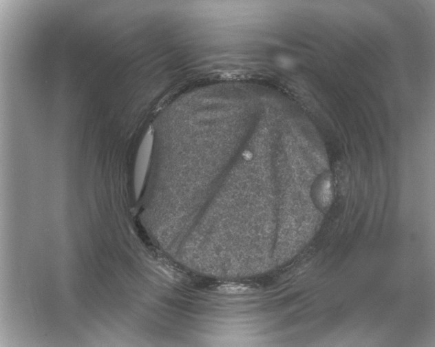 X0000065970650200603311840