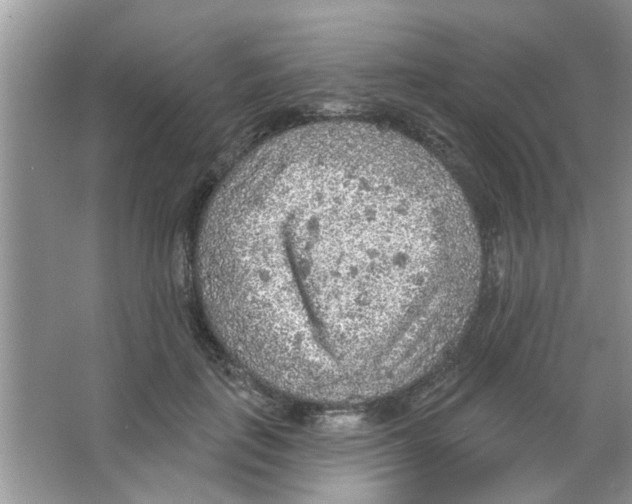 X0000065970651200603311840