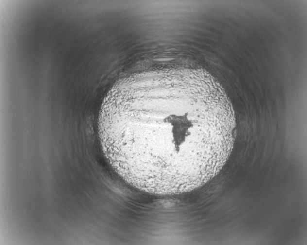 X0000065970654200603311840