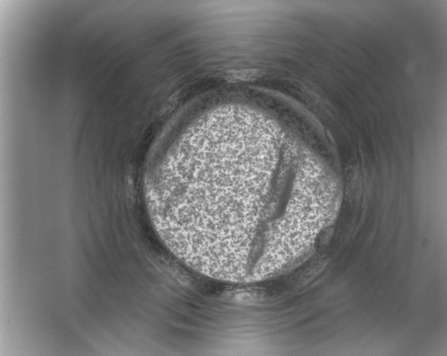 X0000065970655200603311840