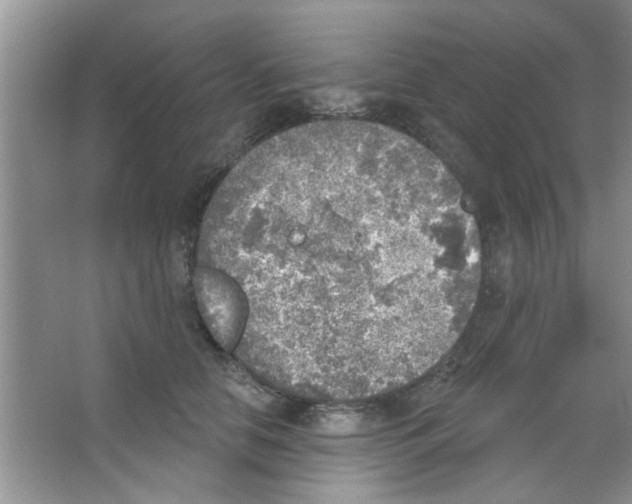 X0000065970658200603311840