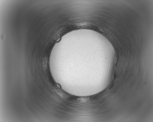 X0000065970660200603311840