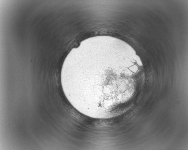 X0000065970661200603311840