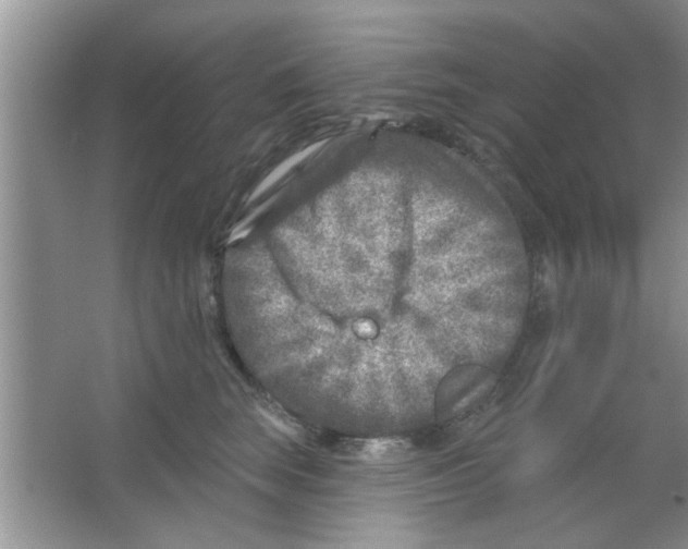 X0000065970663200603311840