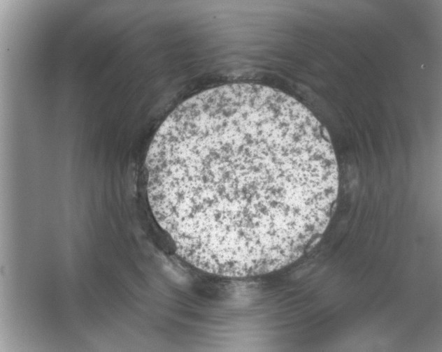 X0000065970664200603311840