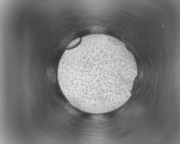 X0000065970666200603311840