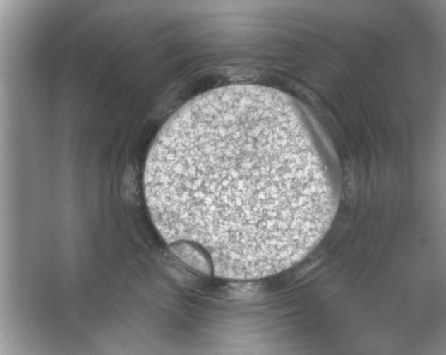 X0000065970667200603311840