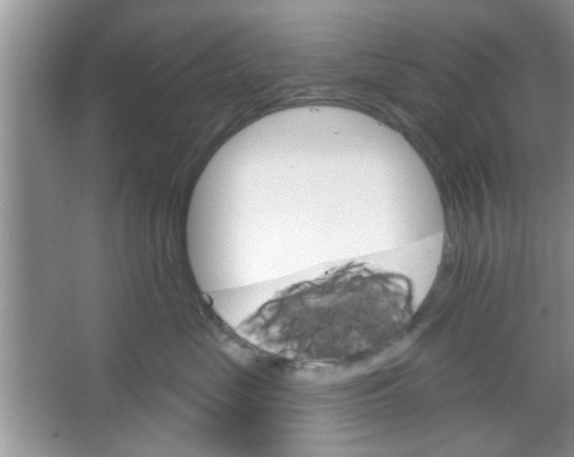 X0000065970669200603311840