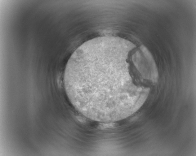 X0000065970671200603311840