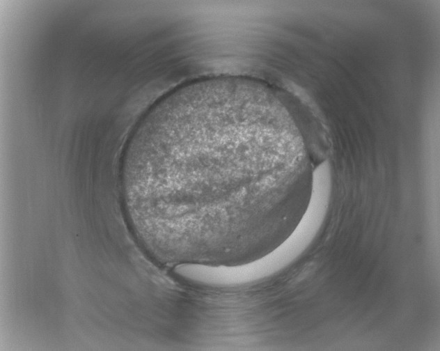 X0000065970673200603311839