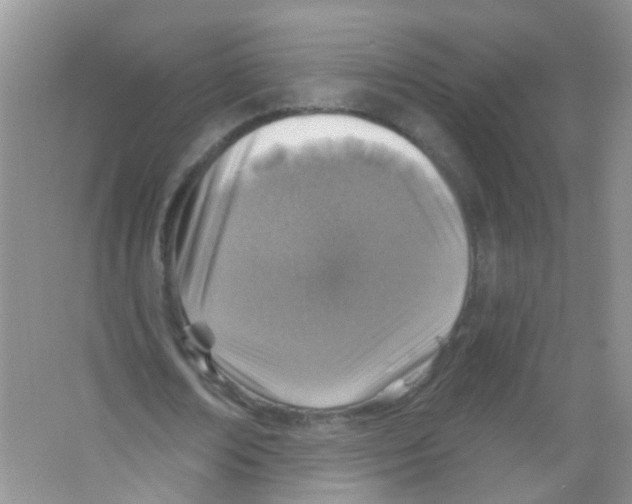 X0000065970674200603311839