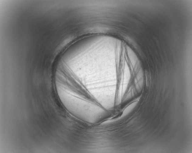 X0000065970675200603311839