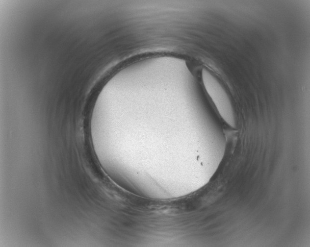 X0000065970676200603311839