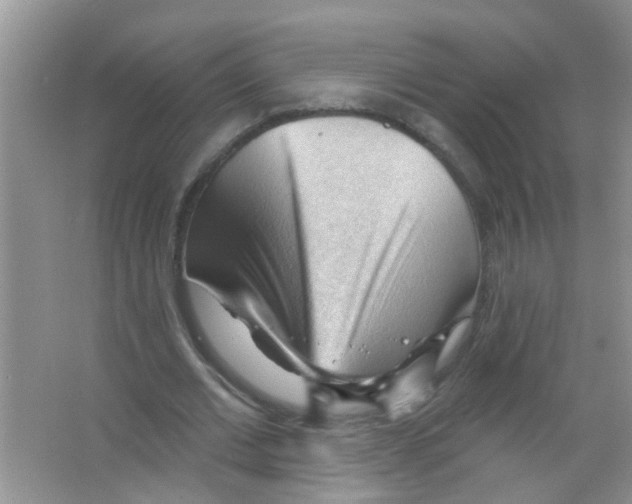 X0000065970677200603311839