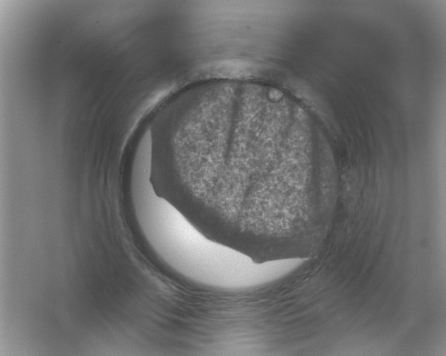 X0000065970679200603311839