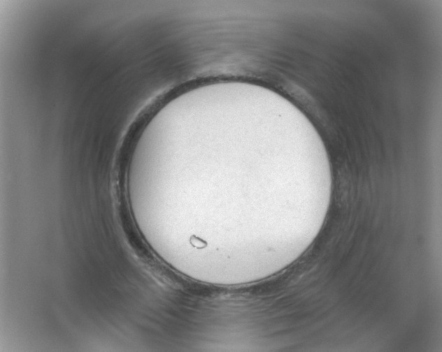 X0000065970680200603311839