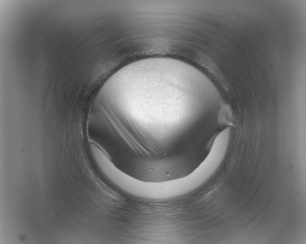 X0000065970681200603311839