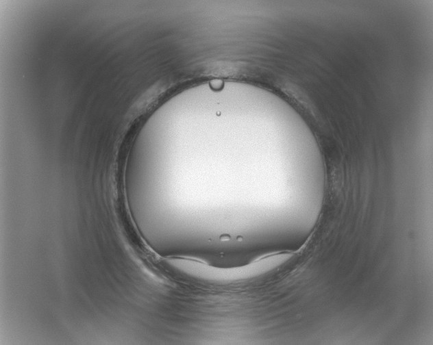 X0000065970682200603311839