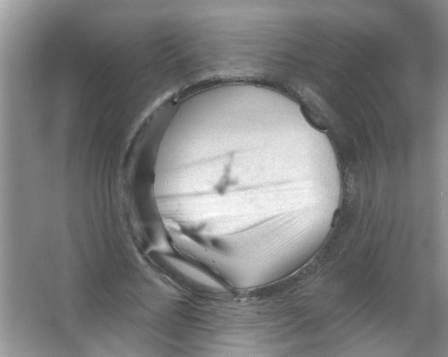 X0000065970684200603311839