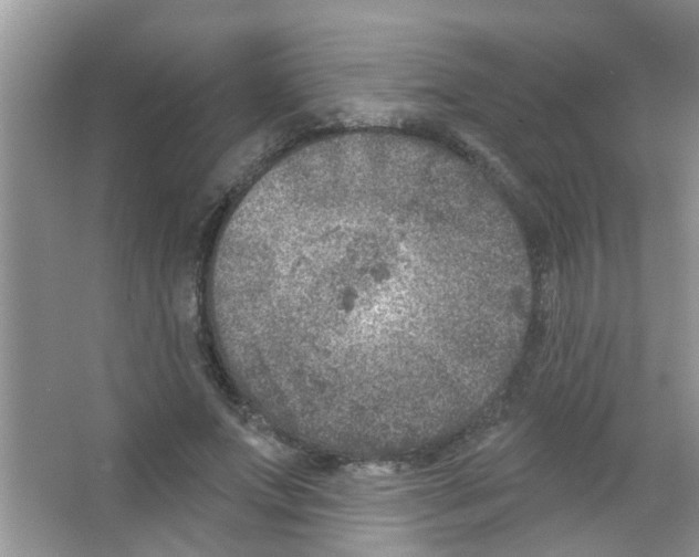 X0000065970687200603311839