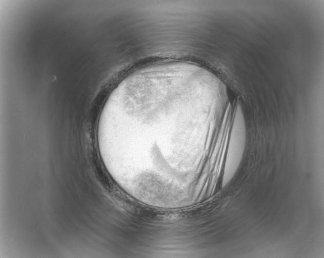 X0000065970688200603311839