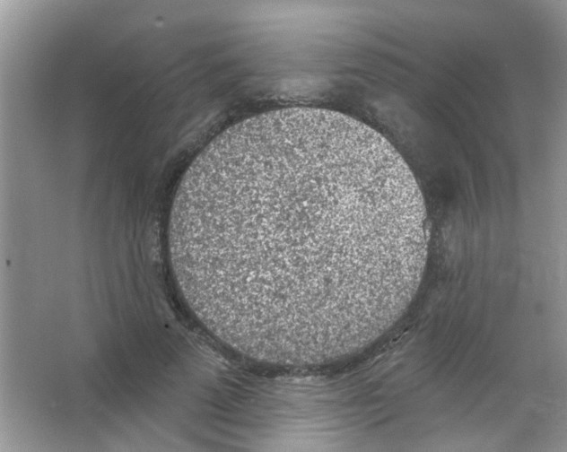 X0000065970689200603311839