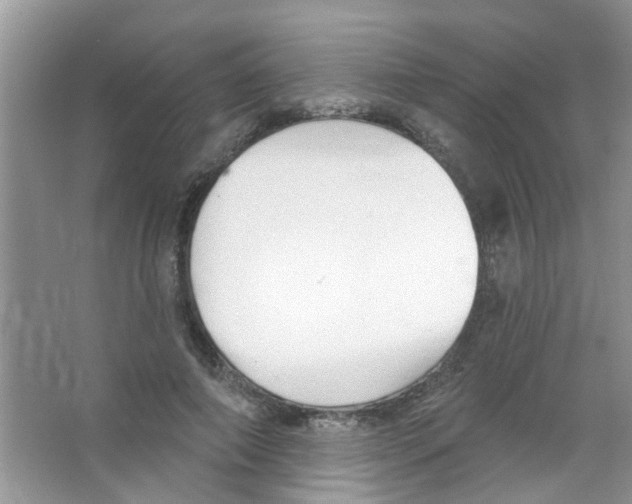 X0000065970690200603311839