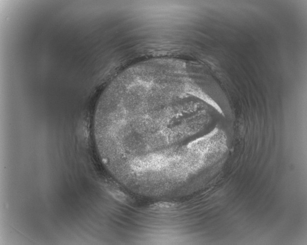 X0000065970691200603311839