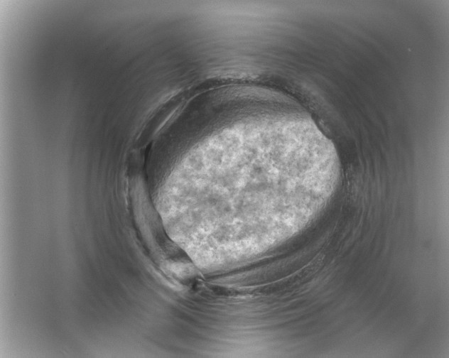 X0000065970692200603311839