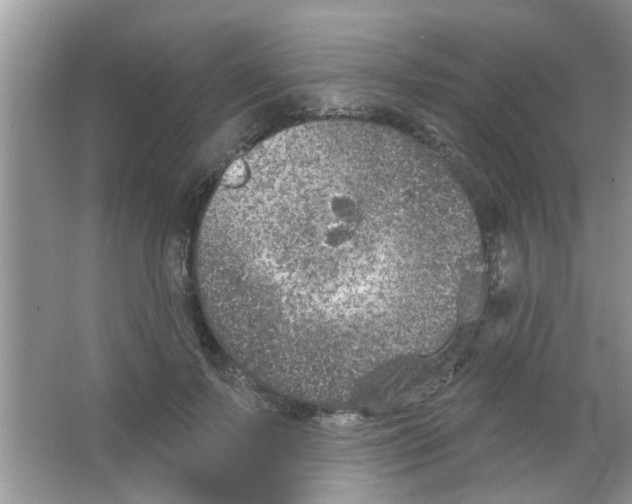 X0000065970695200603311839