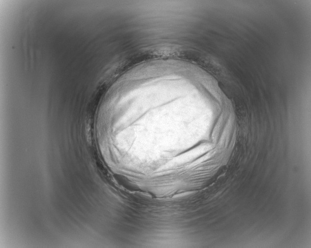 X0000065970696200603311839