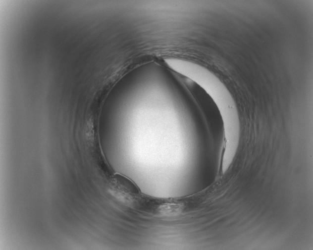 X0000065970700200603311839