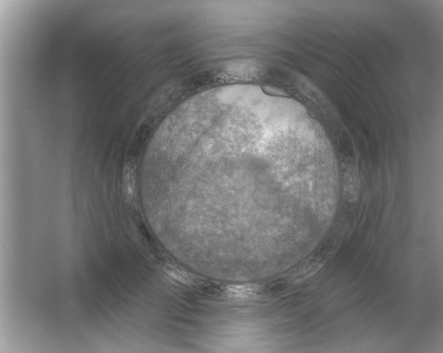 X0000065970701200603311839