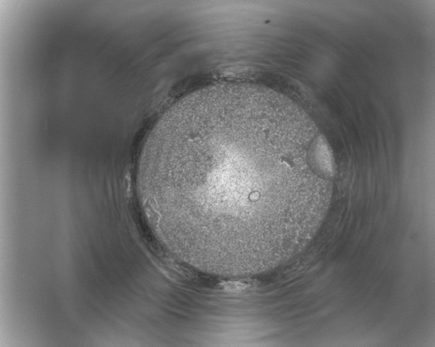 X0000065970703200603311839