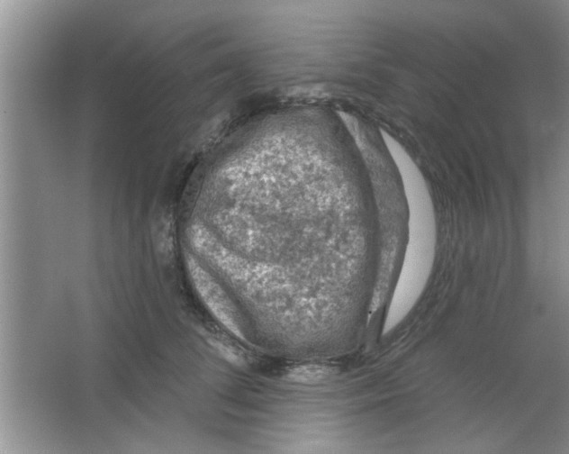 X0000065970708200603311839