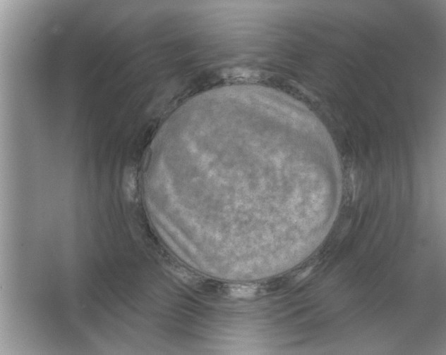 X0000065970709200603311839