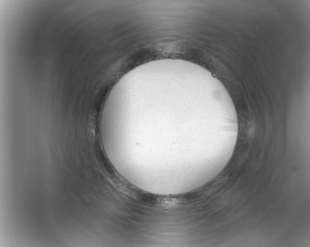 X0000065970710200603311839